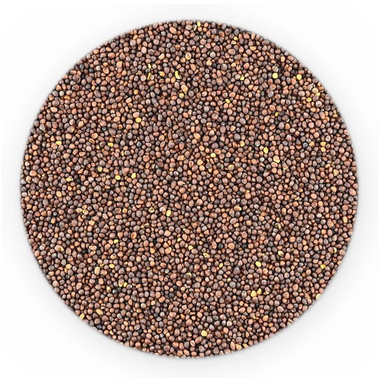 Gorczyca Czarna Cała - Premium Line 500 g-1