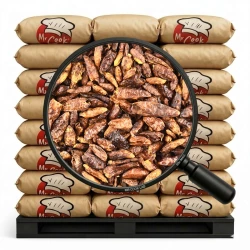 Chilli Peperoncini Bird's Eye - Luz