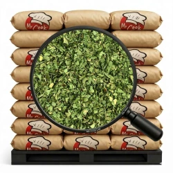 Czosnek Niedźwiedzi Suszony - Luz