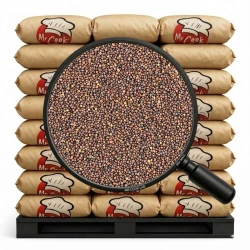 Gorczyca Czarna Cała - Luz