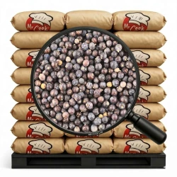 Jałowiec Owoc - Luz