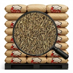 Kmin Rzymski (Kumin) Ziarno - Luz