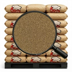 Kolendra Mielona - Luz