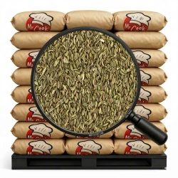 Koper Włoski (Fenkuł) Ziarno - Luz