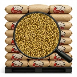 Kozieradka Ziarno - Luz