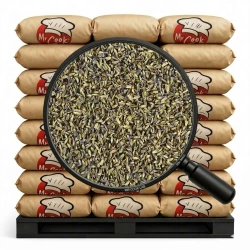 Lawenda Suszona Kwiat - Luz