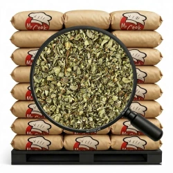 Majeranek Suszony (Egipt) - Luz