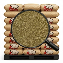 Oregano Mielone - Luz