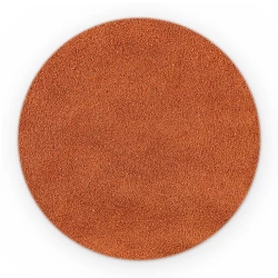 Pomidory Proszek - Luz-1