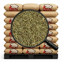 Rozmaryn Suszony Igła - Luz