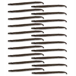 Wanilia Laski Uganda Gourmet 12-14 cm - Premium Line 20szt Worek próżniowy