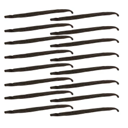 Wanilia Laski Uganda Gourmet 12-14 cm - Premium Line 16szt Worek próżniowy