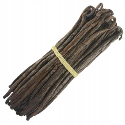 Wanilia Bourbon Laski Madagaskar Premium Line 14-16 cm - Premium Line-3
