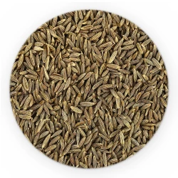 Kmin Rzymski (Kumin) Ziarno - Premium Line-1