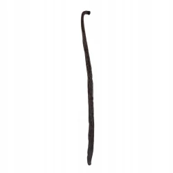 Wanilia Bourbon Laski Madagaskar Premium Line 14-16 cm - Premium Line 20szt Doypack