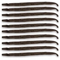 Wanilia Laski Uganda Gourmet 12-14 cm - Premium Line 10szt Woreczek próżniowy